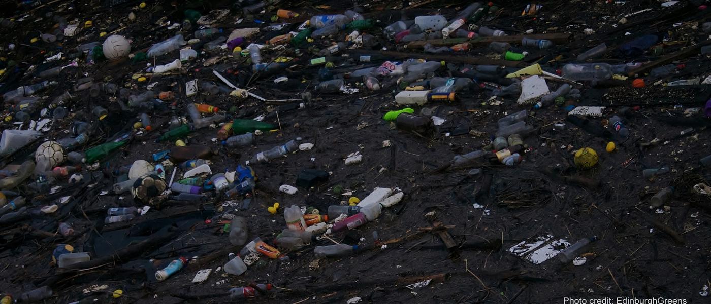 Can we use fungi to break down our plastic and rubber waste? Experiment