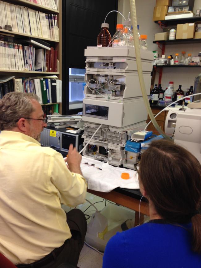 Liquid Chromatography Mass Spectrometry (LC/MS) Experiment