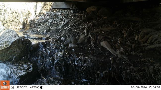 More Photos | Experiment