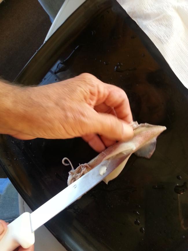 Do you know what Squid Pen looks like? Experiment